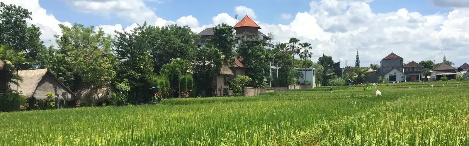 Tangkapan layar situs resmi Tegal Sari Accommodation